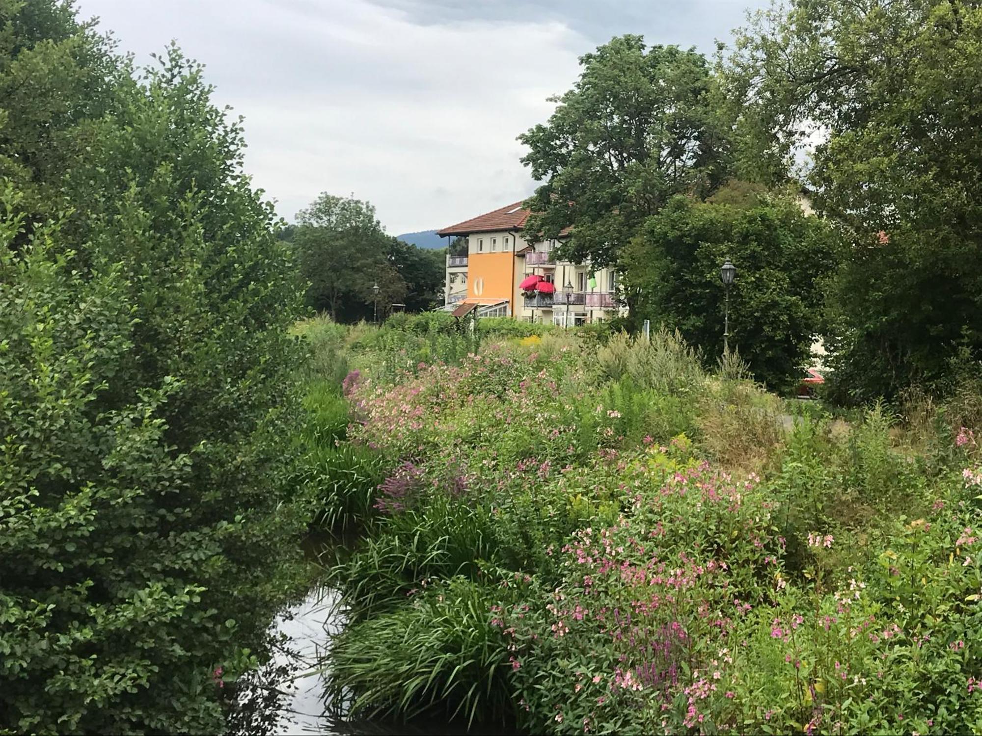 Apartament Ferienresidenz Am Weissen Regen Kötzting Zewnętrze zdjęcie